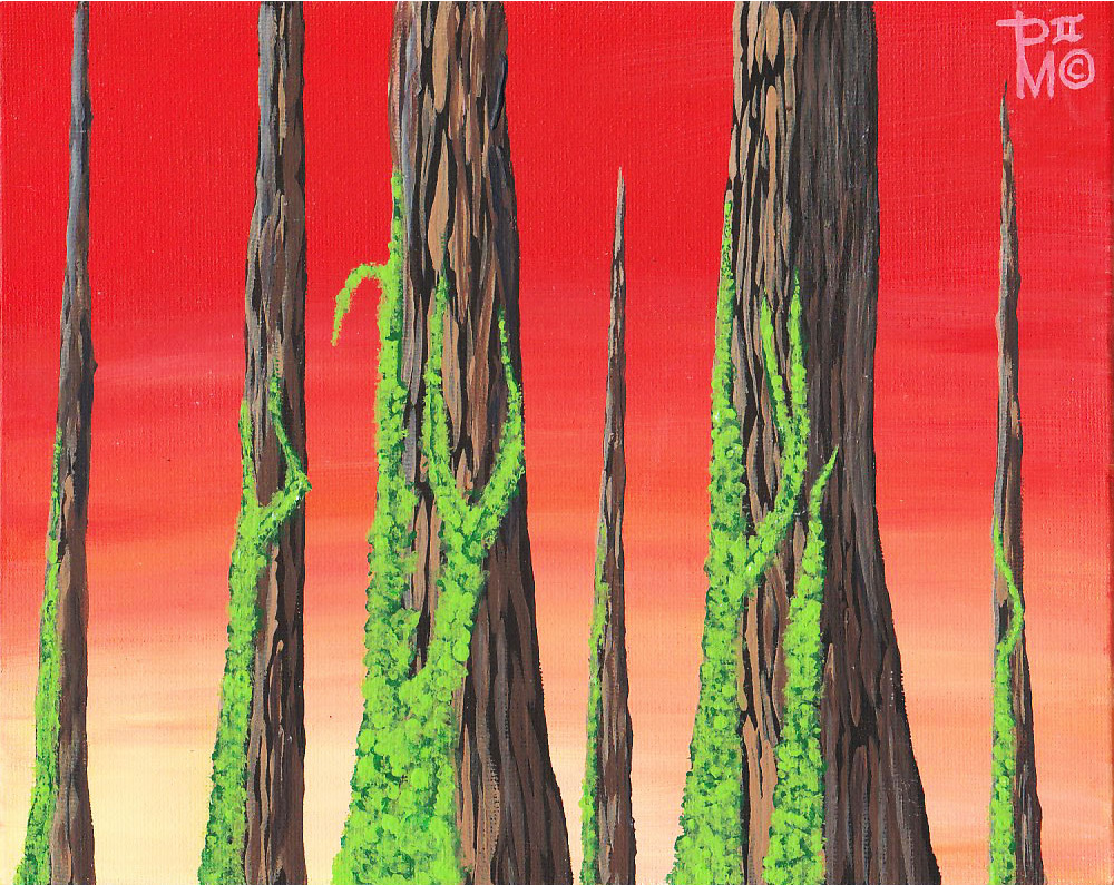 Tall Trees — massive moss-covered trunks rising against a blazing red-orange and peach sunset sky